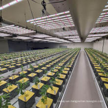 Amazon Winter Best Indoor Led Plant Grow Lights